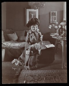 Retrato de la Sra. Elliott o su pariente femenina, 1902